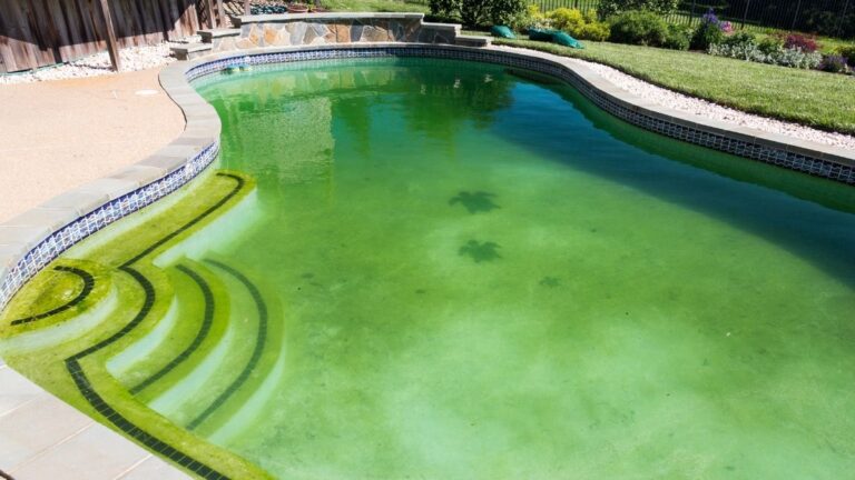 piscina verde muito suja
