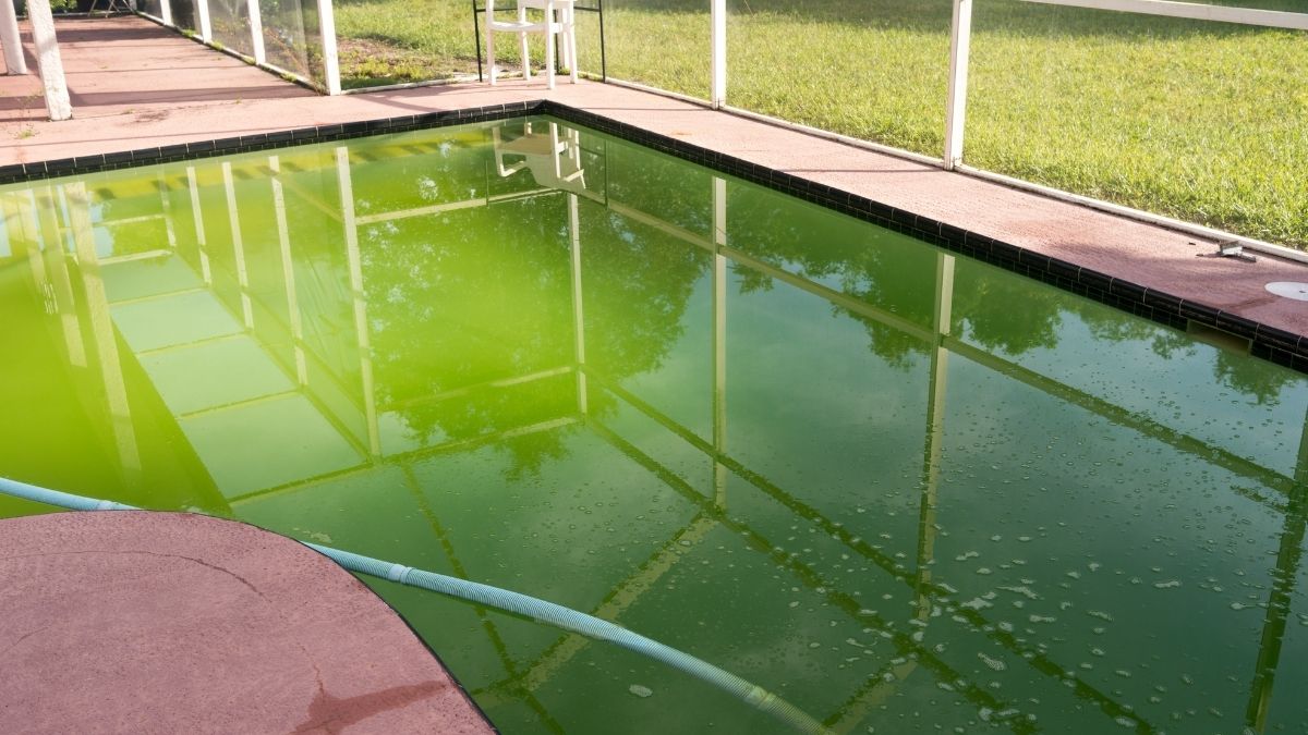 piscina suja verde para limpar com algicida