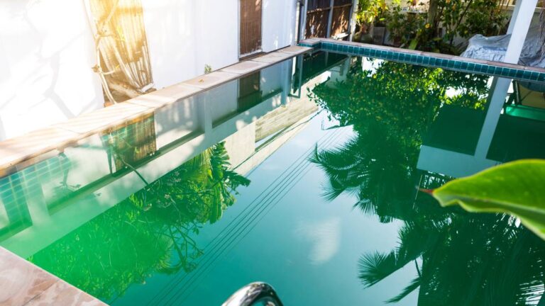 piscina verde com algas